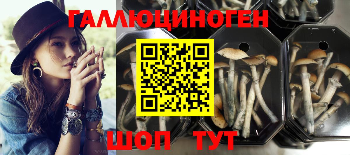 Галлюциногенные грибы прущие грибы  Вход с VPN  Псилоцибиновые грибы Psilocybine cubensis  Асбест 